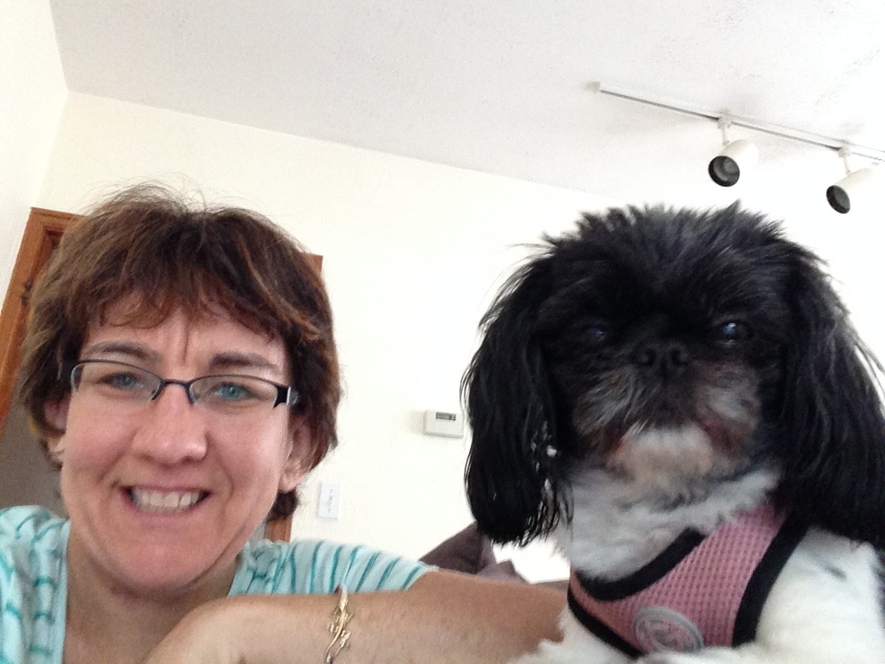 Our Pet Sitters Brew City Pet Services, LLC