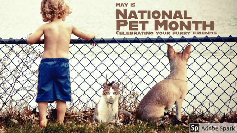 Celebrate National Pet Month | Brew City Pet Services, LLC